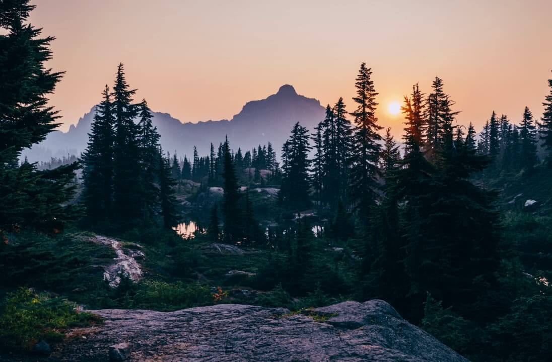 nature